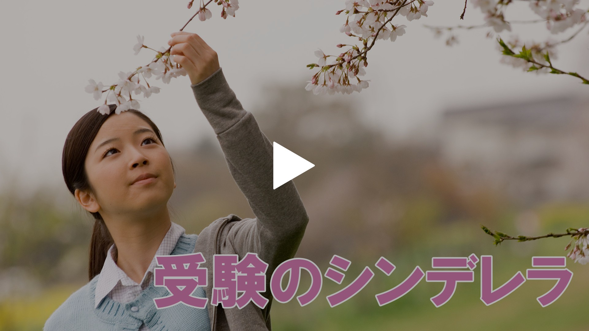 受験のシンデレラ フジテレビの人気ドラマ アニメ Tv番組の動画が見放題 Fod