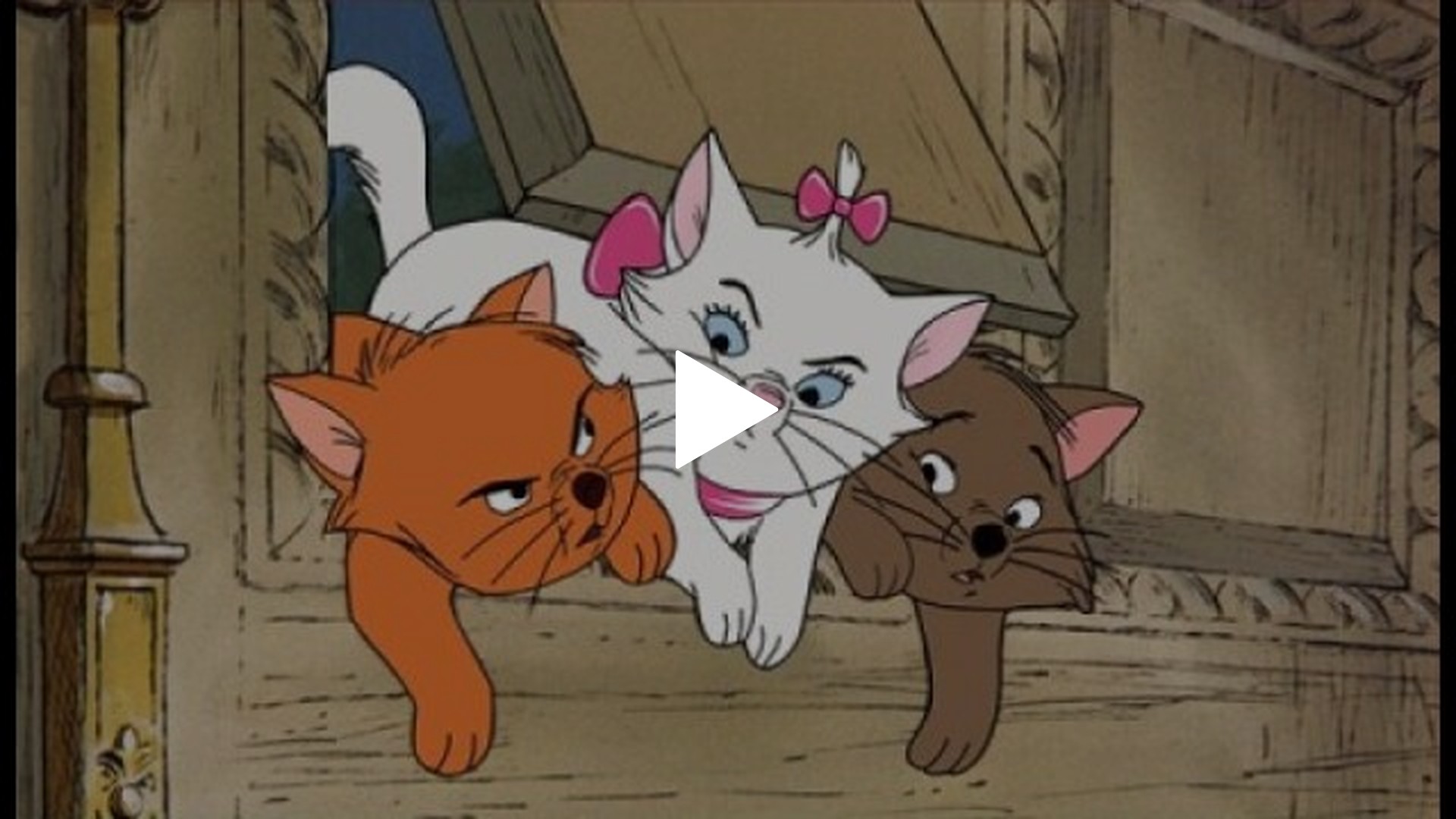 おしゃれキャット｜フジテレビの人気ドラマ・アニメ・TV番組の動画が見 