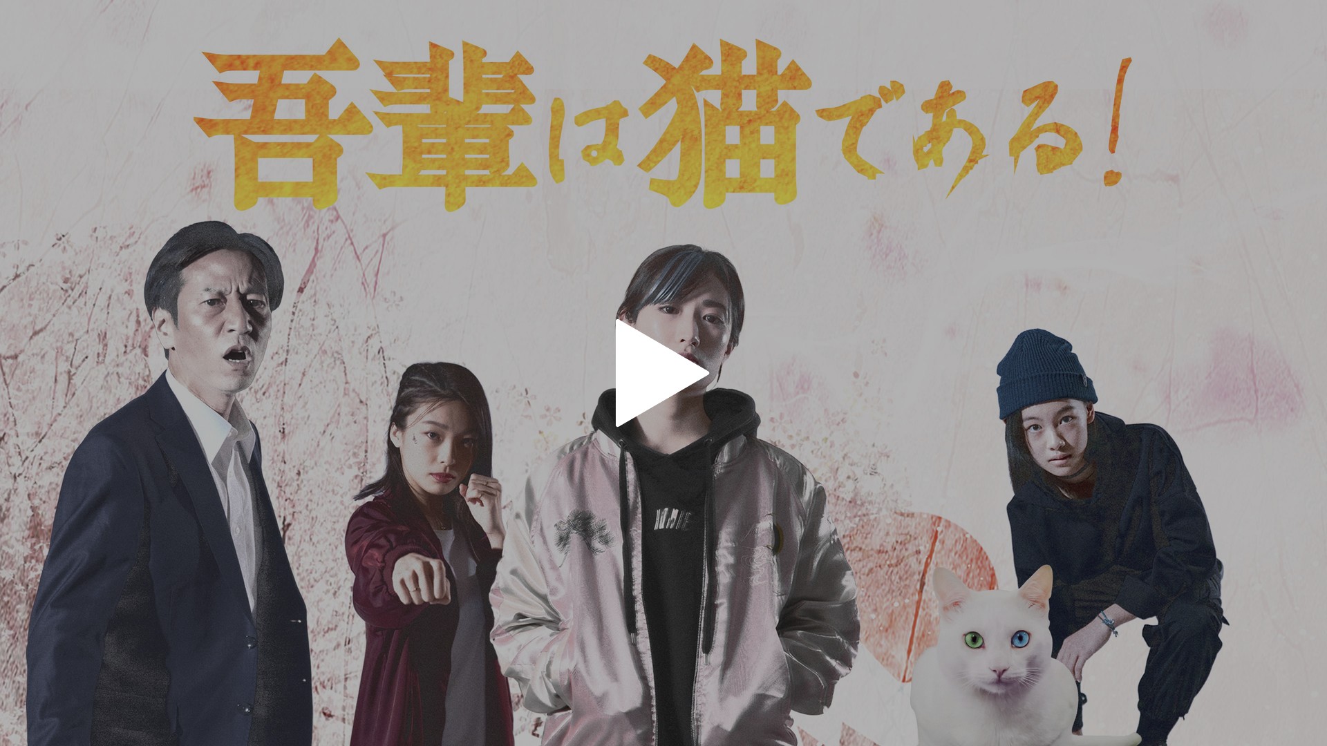 吾輩は猫である フジテレビの人気ドラマ アニメ Tv番組の動画が見放題 Fod