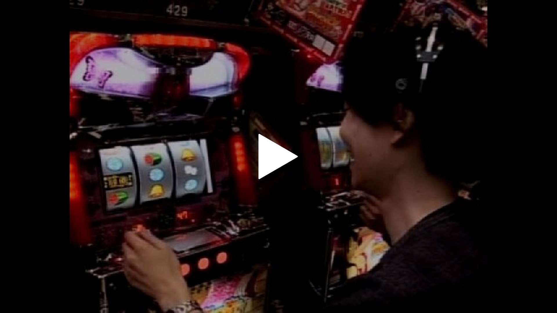 木村魚拓の窓際の向こうに-#5 南国育ち