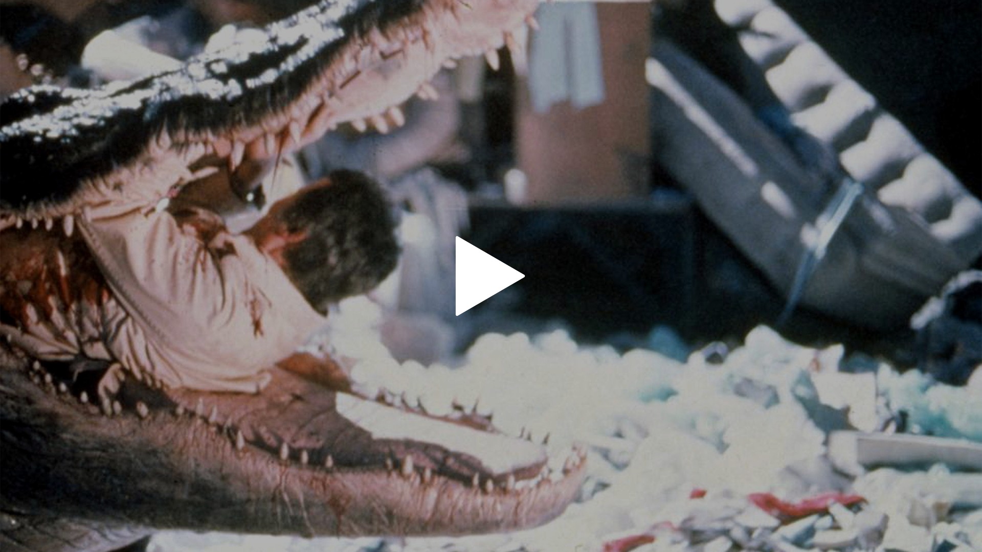 アリゲーターDVD モンスター・パニックホラー