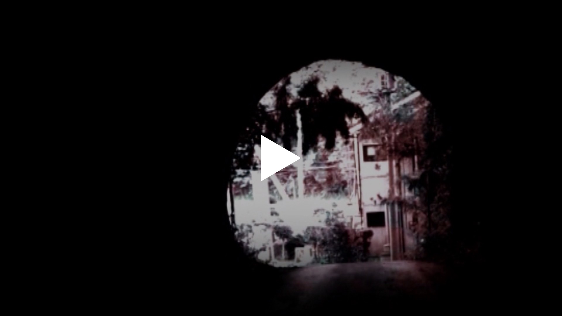 実録!!ほんとにあった恐怖の投稿映像～稀有亡霊～｜フジテレビの人気