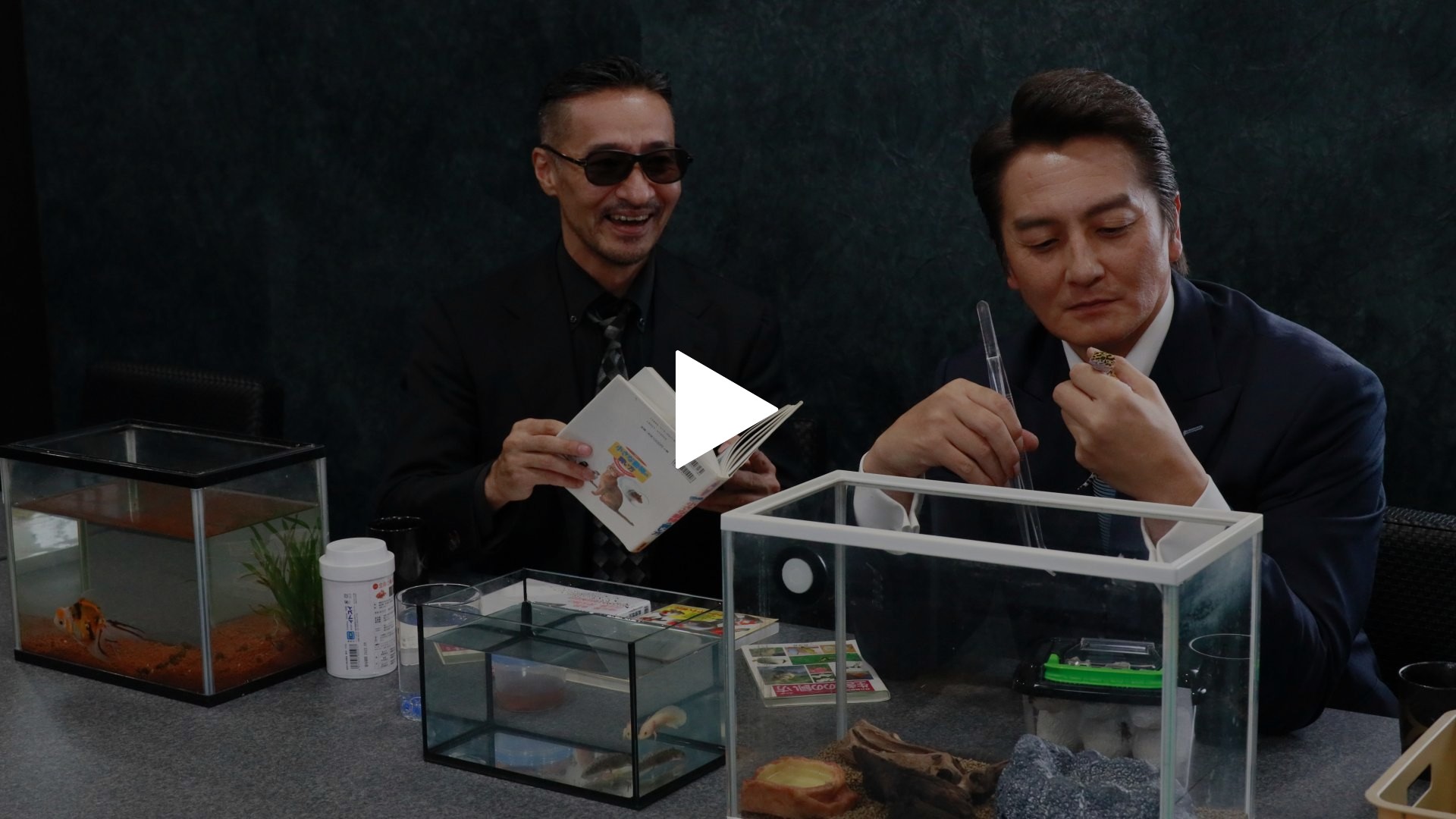 日本統一外伝 山崎組 ジョウジと愉快な仲間たち｜フジテレビの人気
