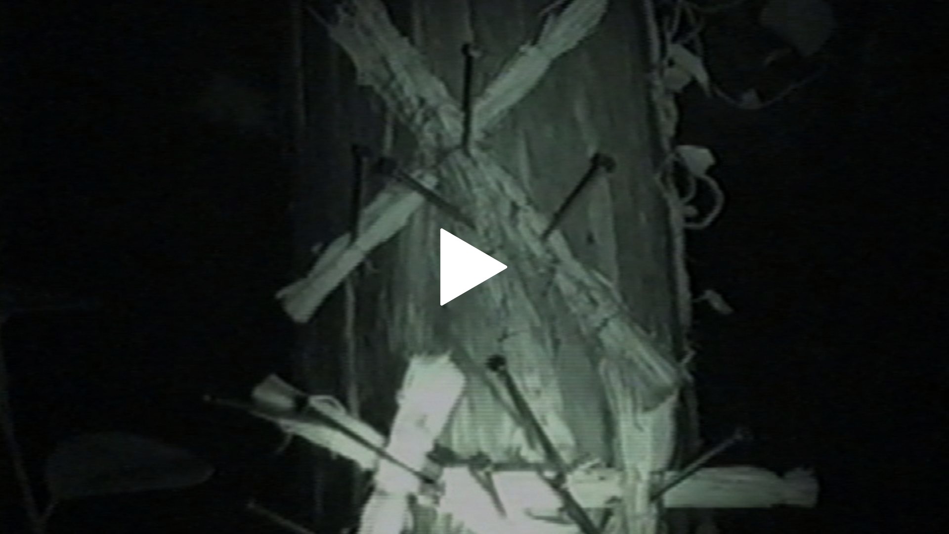 37巻 「呪いのわら人形」他｜フジテレビの人気ドラマ・アニメ・TV番組