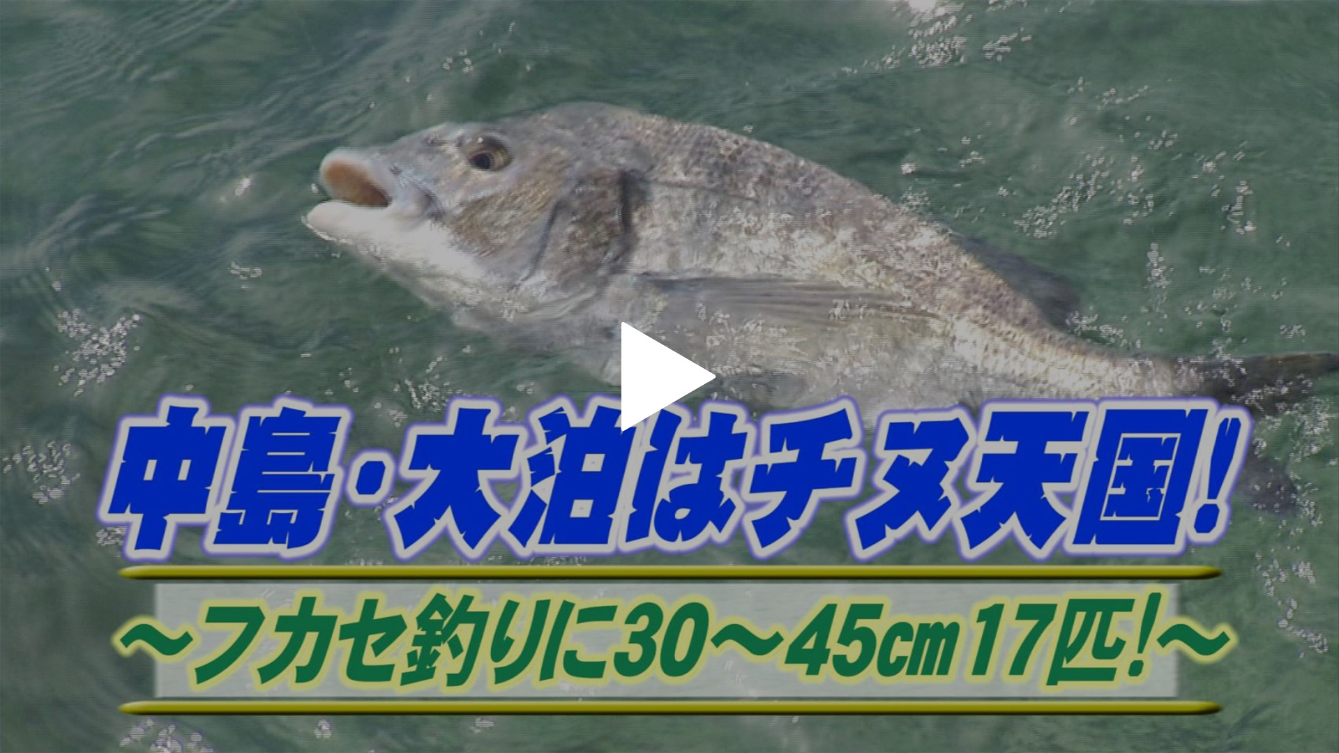 中島チヌ天国！フカセ釣り45cm17匹！｜フジテレビの人気ドラマ・アニメ