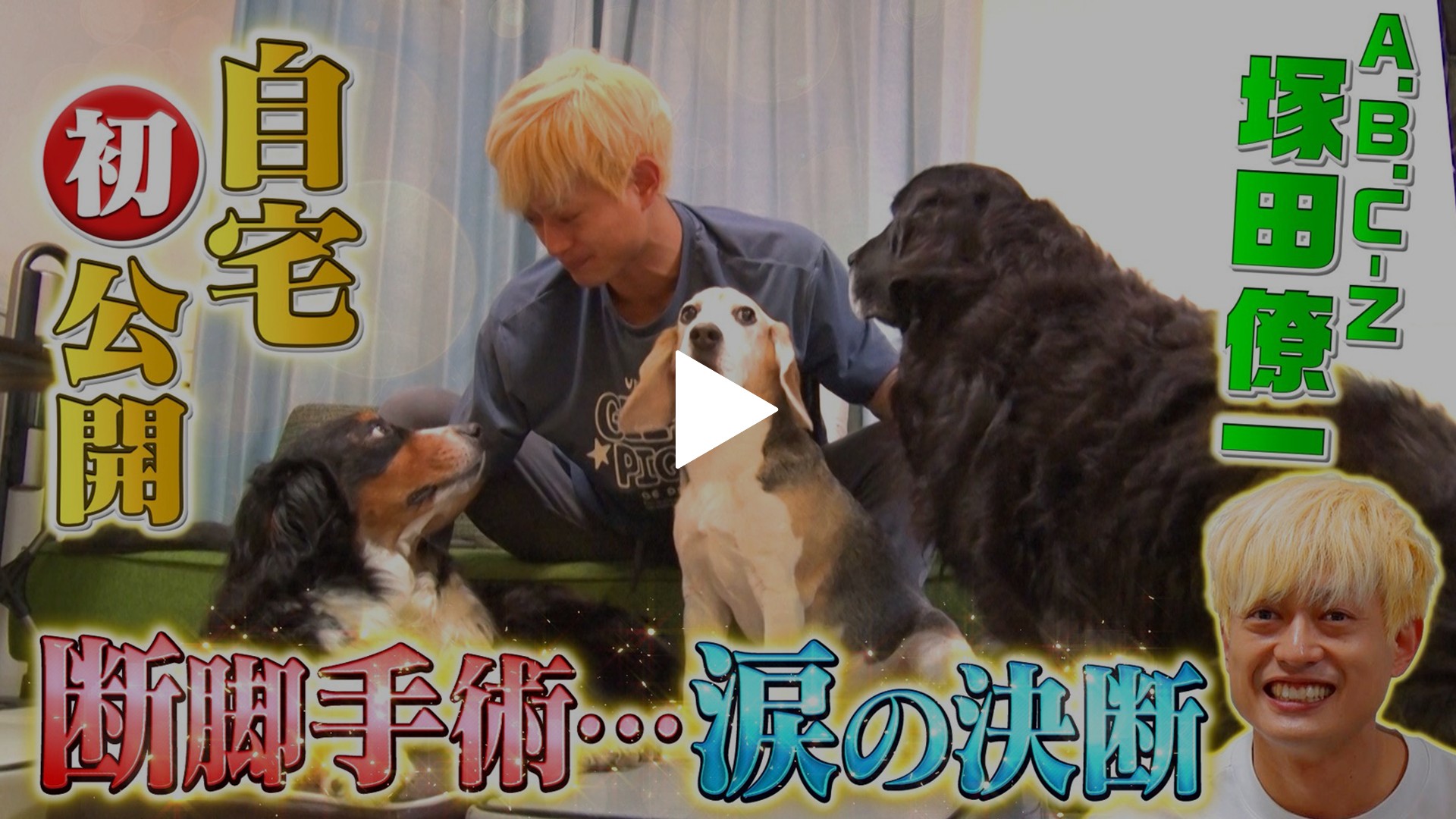 ABC-Z塚田の愛犬が断脚・・・手術と闘病全記録｜フジテレビの人気