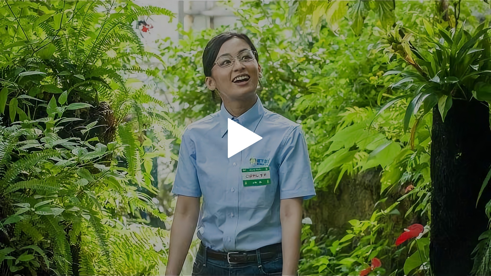 新品未開封　十月十日の進化論　DVD 田中圭　尾野真千子 Amazon.co.jp: ドラマW 十月十日の進化論 [DVD] : 尾野真千子