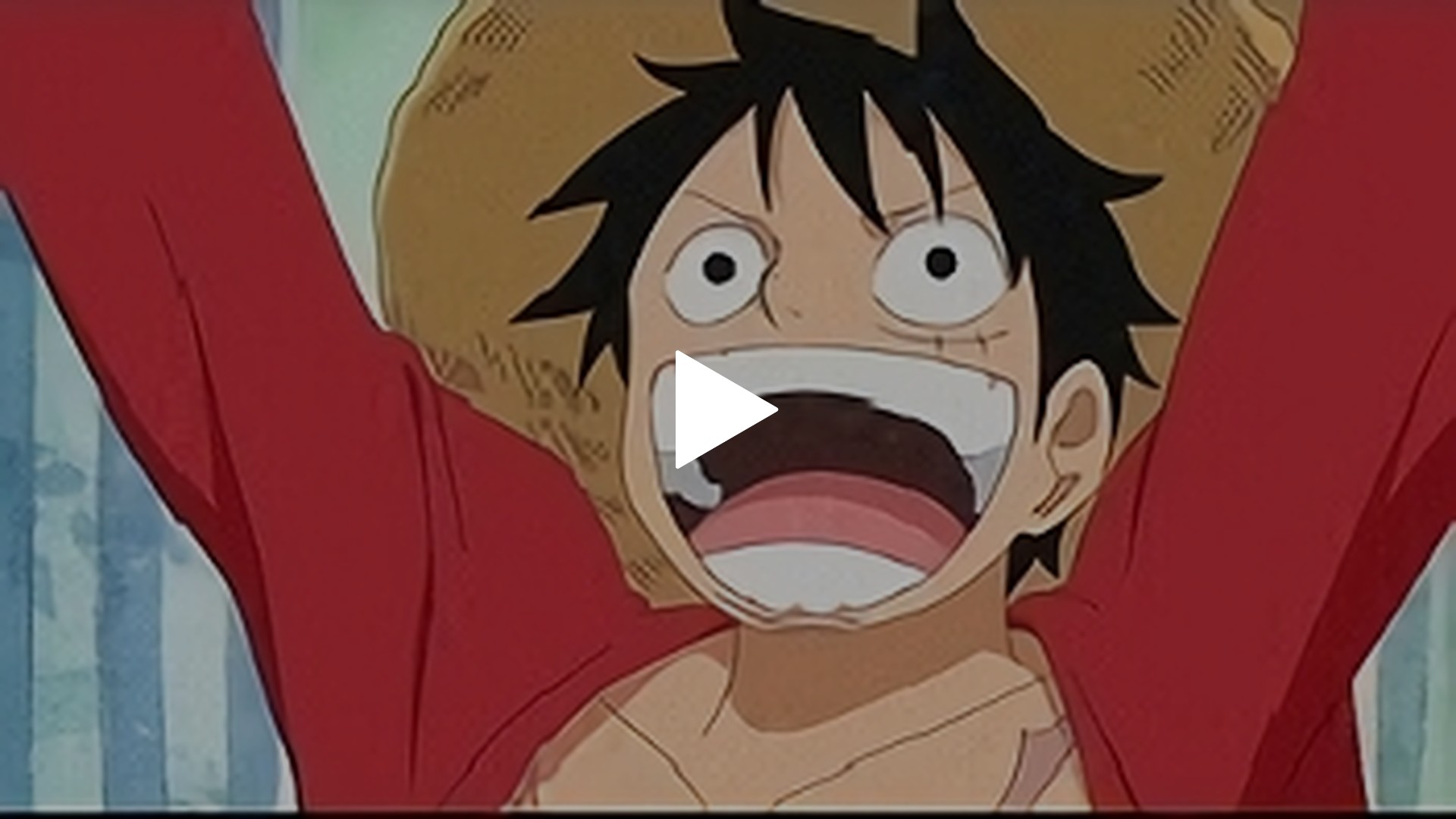 ルフィズ シークレット 海賊王に俺はなる TO BE CONTINUED ルフィズ