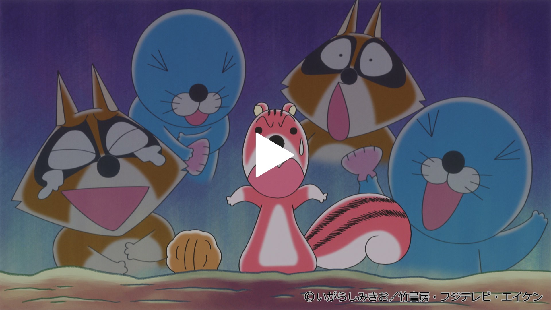 ディヴァインクロス　ほのぼの　SEC アライグマくん シマリスくん top8 ディヴァインクロス ほのぼの SEC アライグマくん シマリスくん
