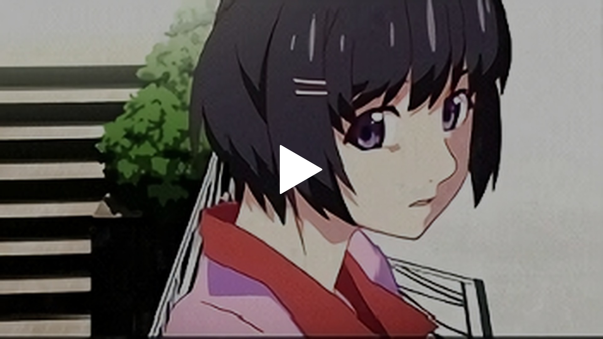 Amazon.co.jp: 猫物語(白) 第二巻/つばさタイガー(下)(通常版