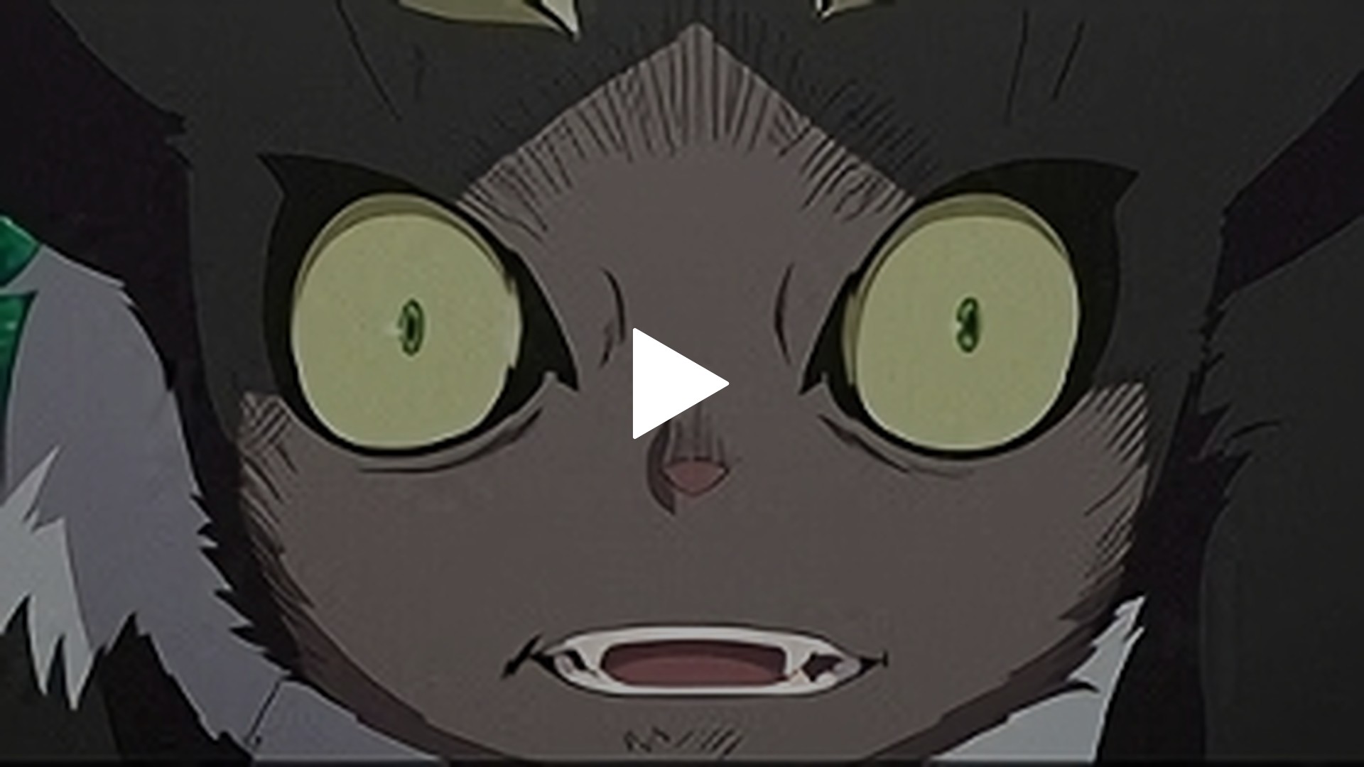 もしもの物語　黒猫　Grede10 第10話 黒猫｜フジテレビの人気ドラマ・アニメ・TV番組の動画が見放題