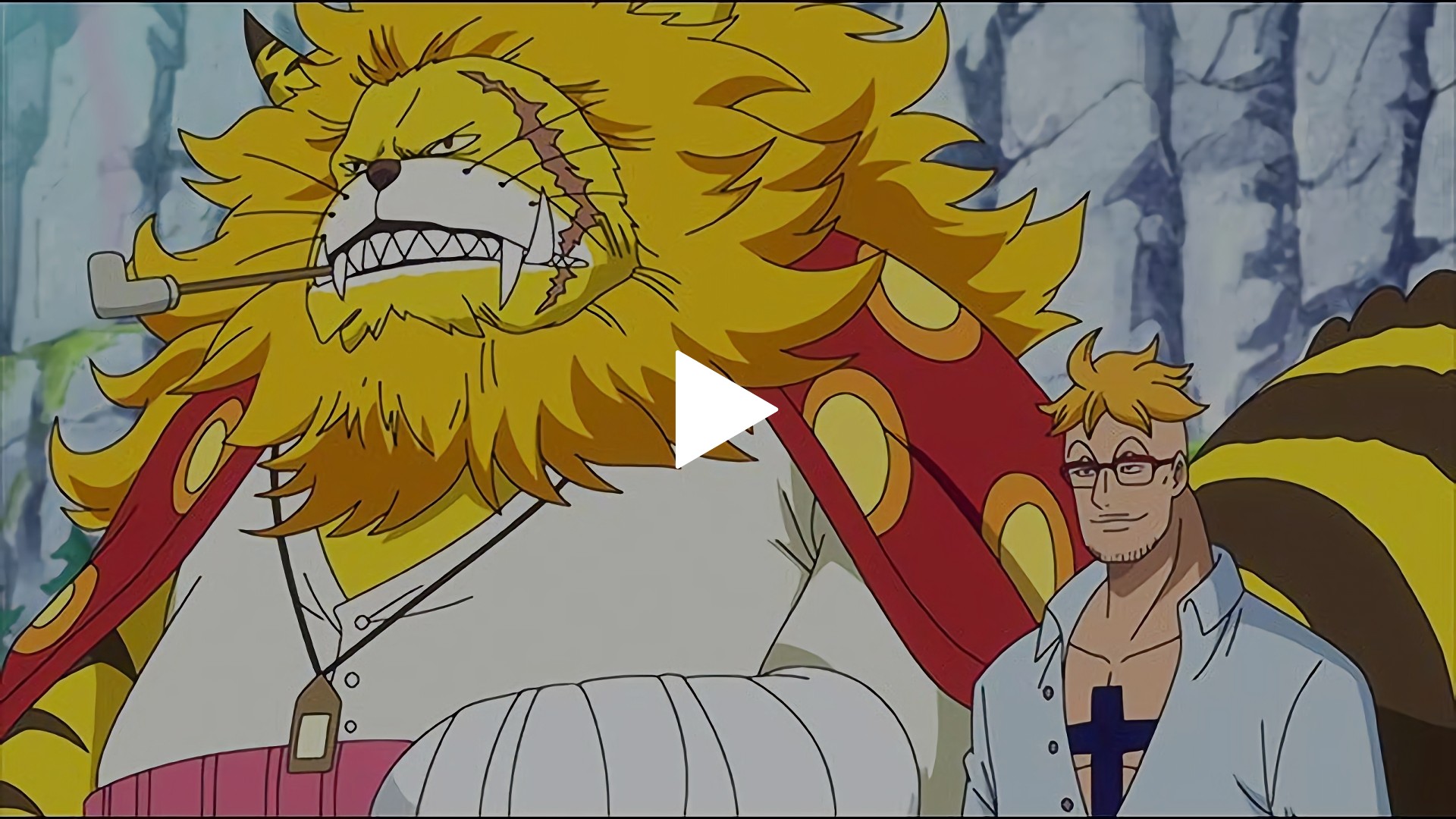 第890話 マルコ！白ひげの形見の守護者｜フジテレビの人気ドラマ