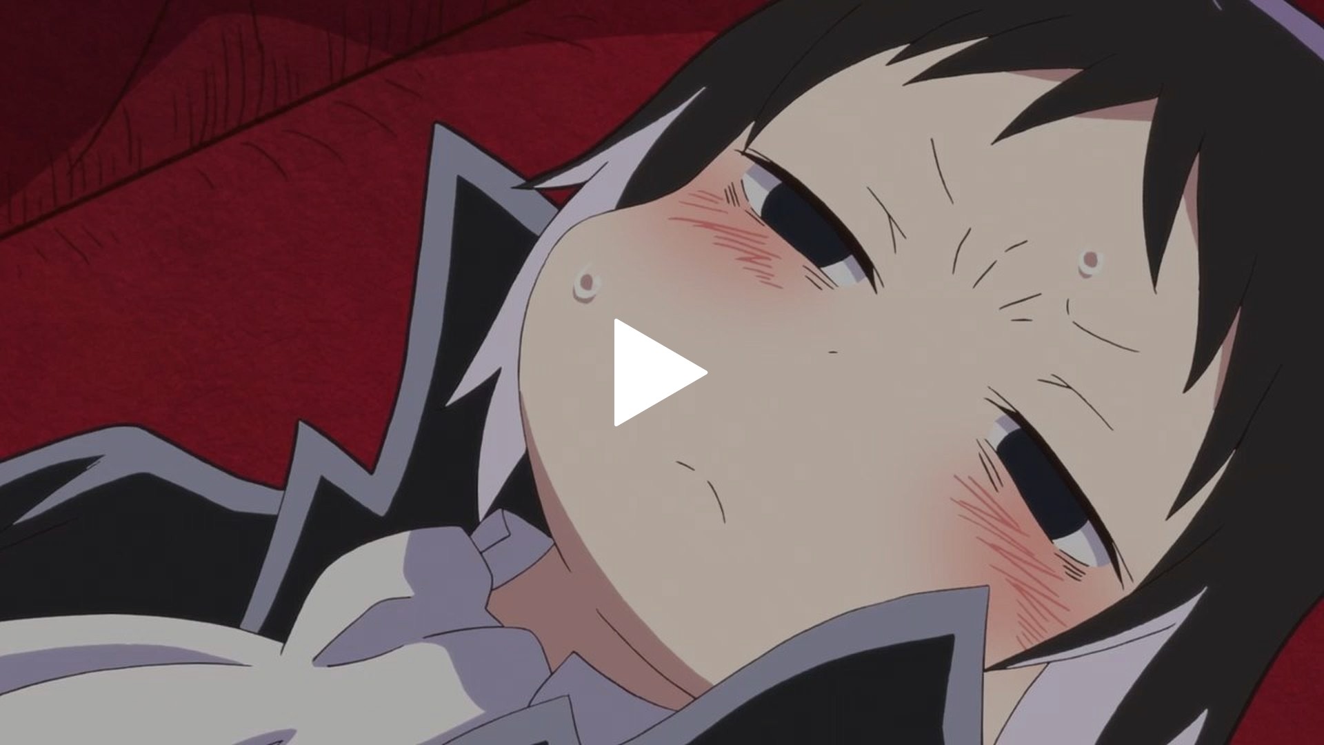 第8わん！｜フジテレビの人気ドラマ・アニメ・TV番組の動画が見放題＜FOD＞