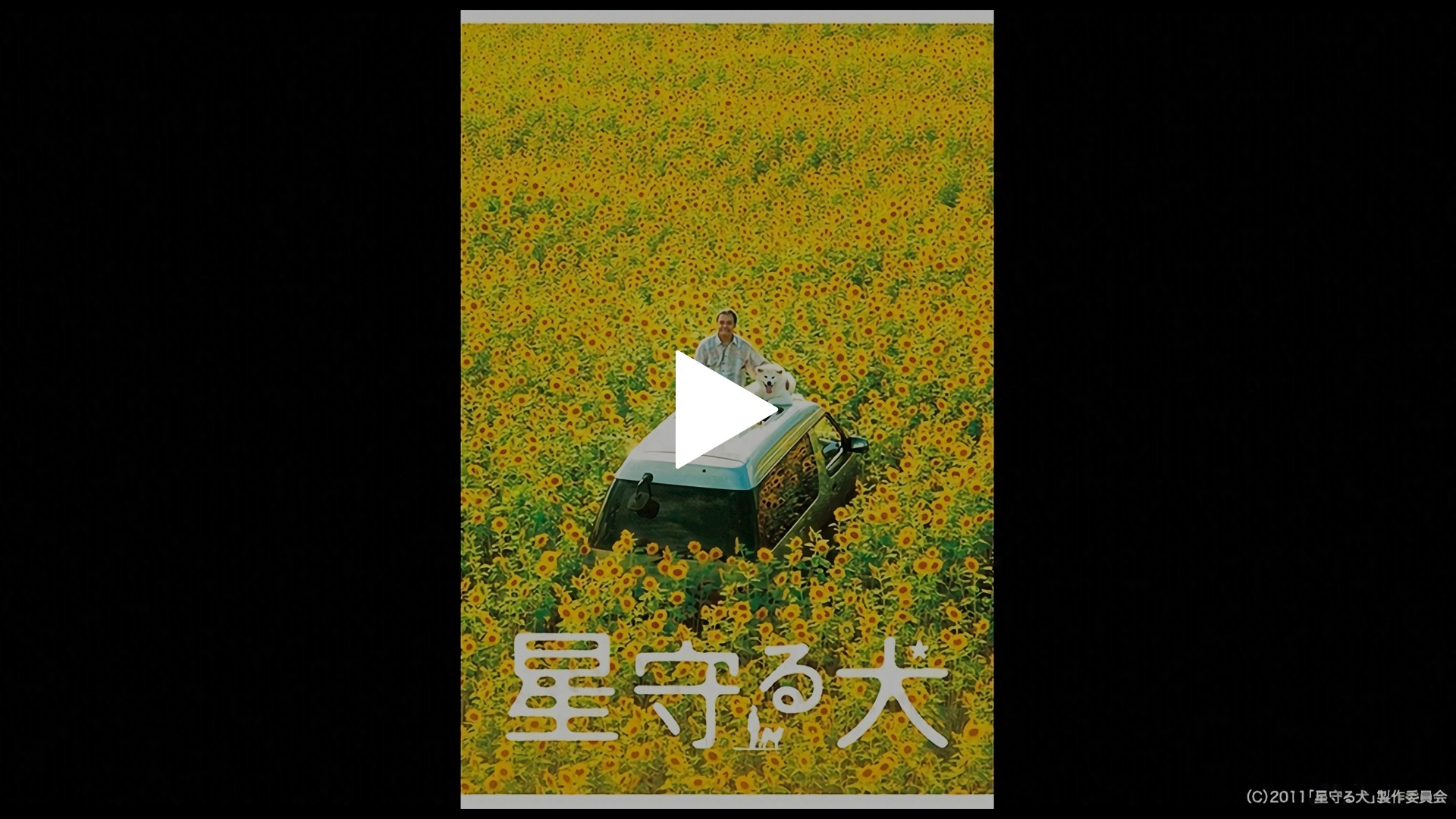 星守る犬｜フジテレビの人気ドラマ・アニメ・TV番組の動画が見放題＜FOD＞