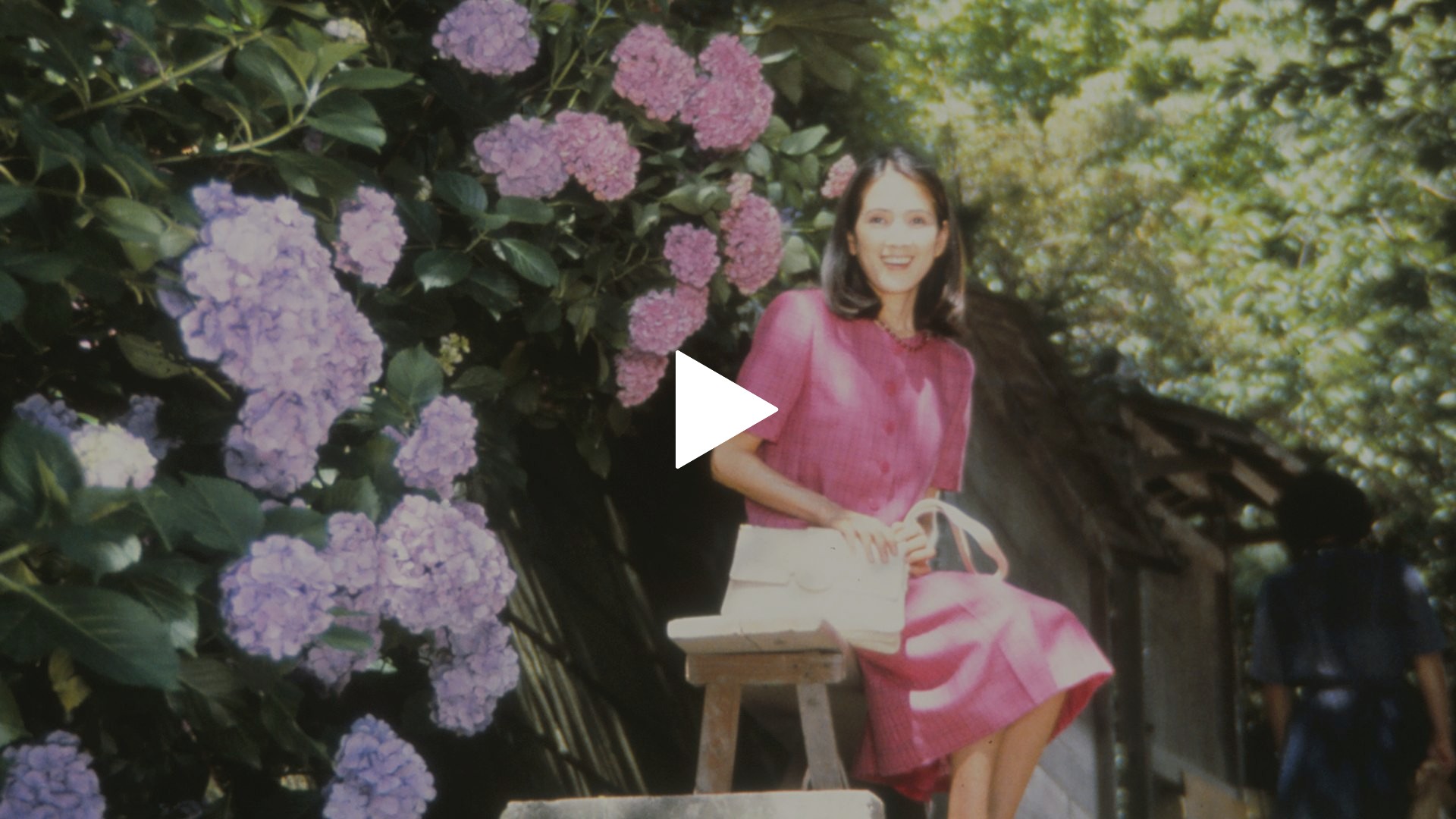 男はつらいよ 寅次郎あじさいの恋｜フジテレビの人気ドラマ