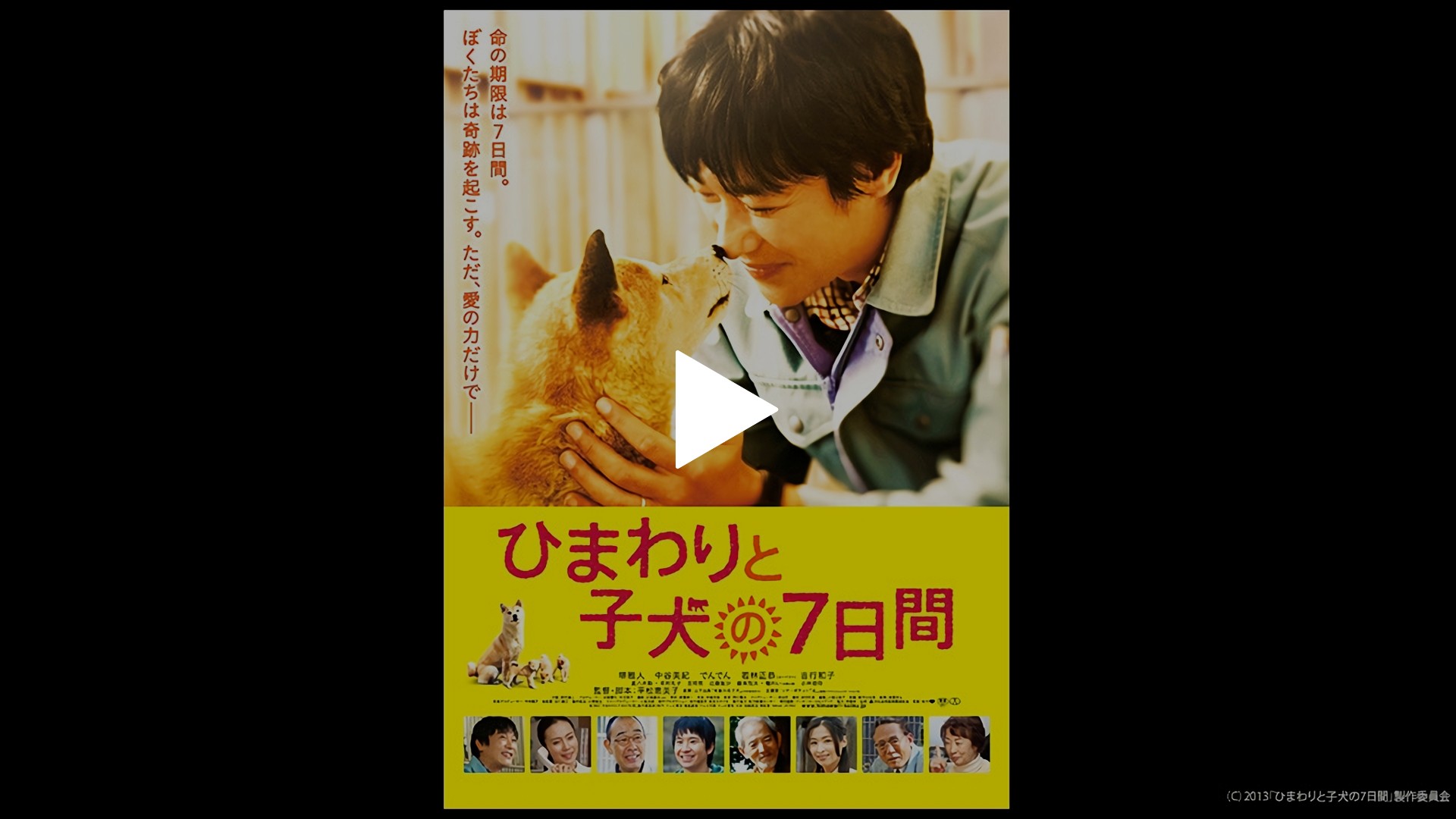 ひまわりと子犬の7日間｜フジテレビの人気ドラマ・アニメ・TV