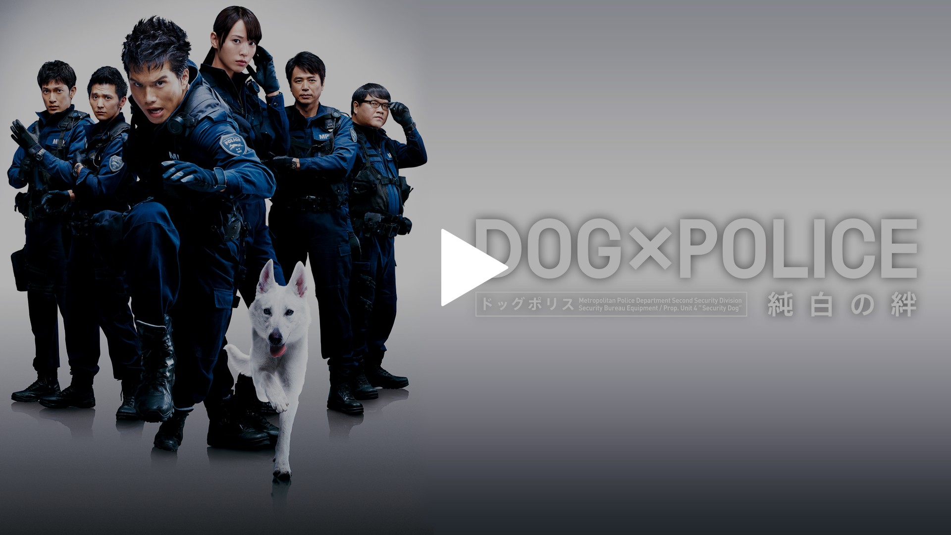 DOG×POLICE ドッグポリス 純白の絆｜フジテレビの人気ドラマ・アニメ