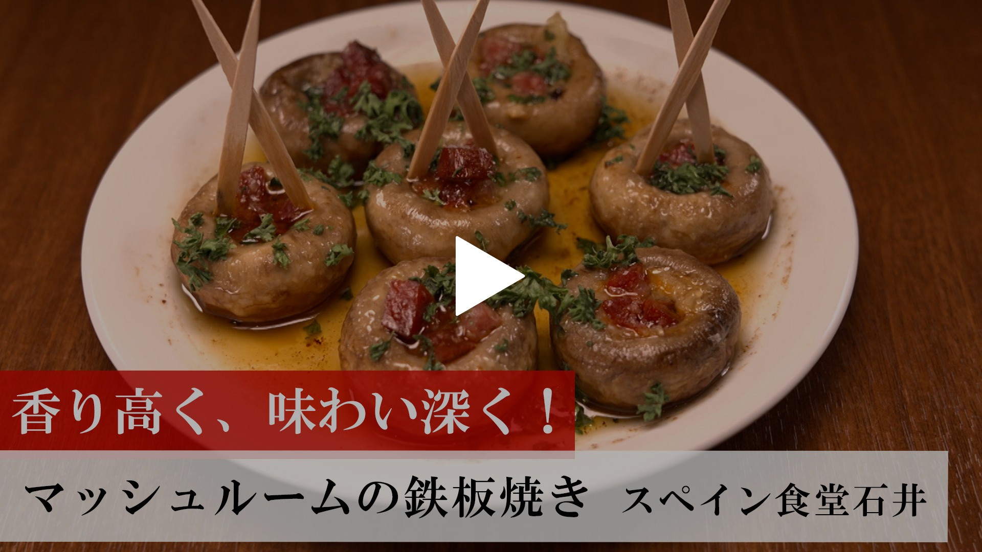 【中古】 舞茸の世界 マジックマッシュルーム/菜根出版/難波宏彰 マジックマッシュルーム 舞茸の世界 その限りない効用の研究