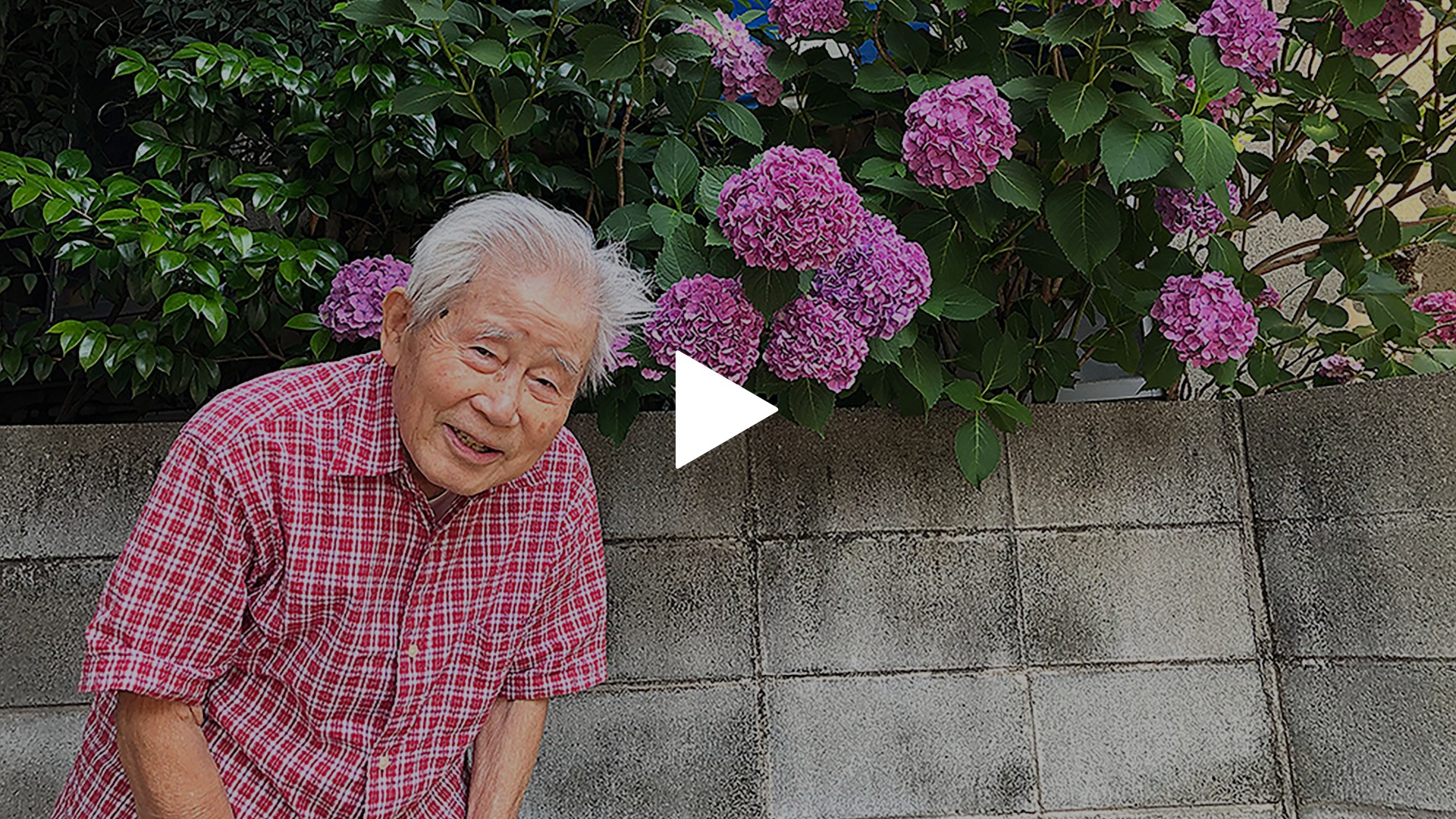 ぼけますから、よろしくお願いします。～おかえりお母さん～｜フジ