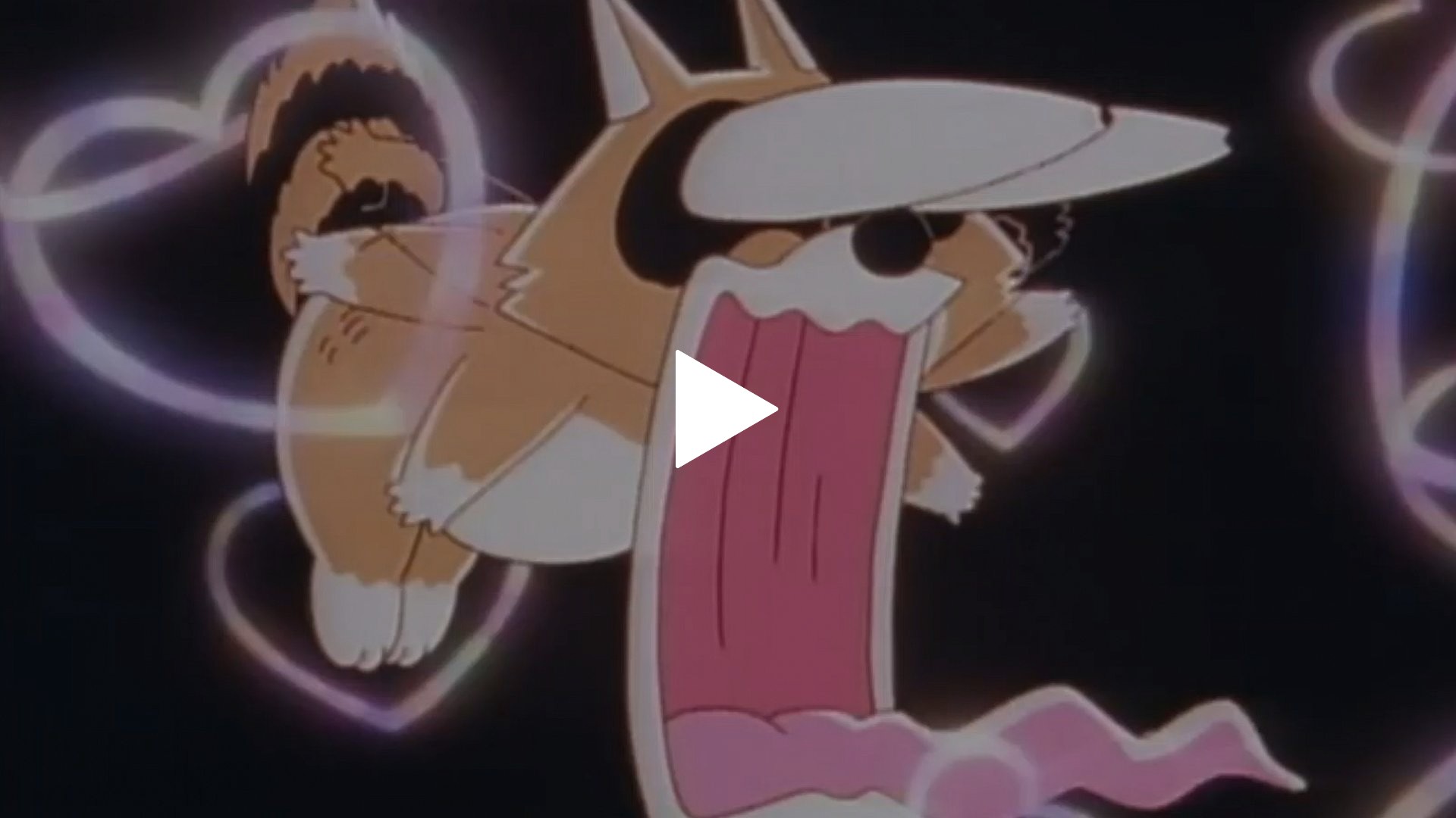 18話 恋するアライグマくん｜フジテレビの人気ドラマ・アニメ・TV番組