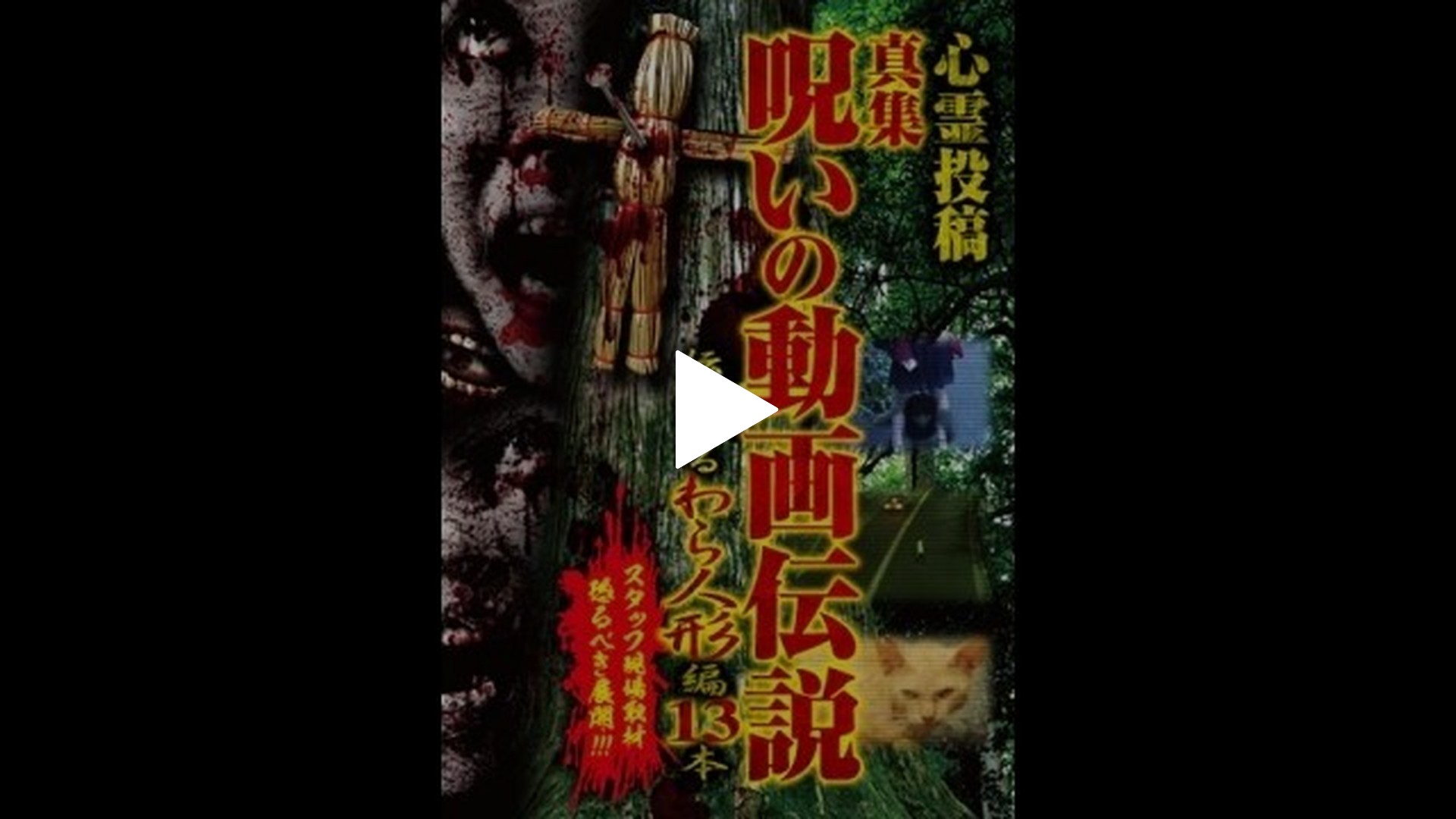 心霊投稿 真集 呪いの動画伝説 伝染するわら人形編 13本｜フジ