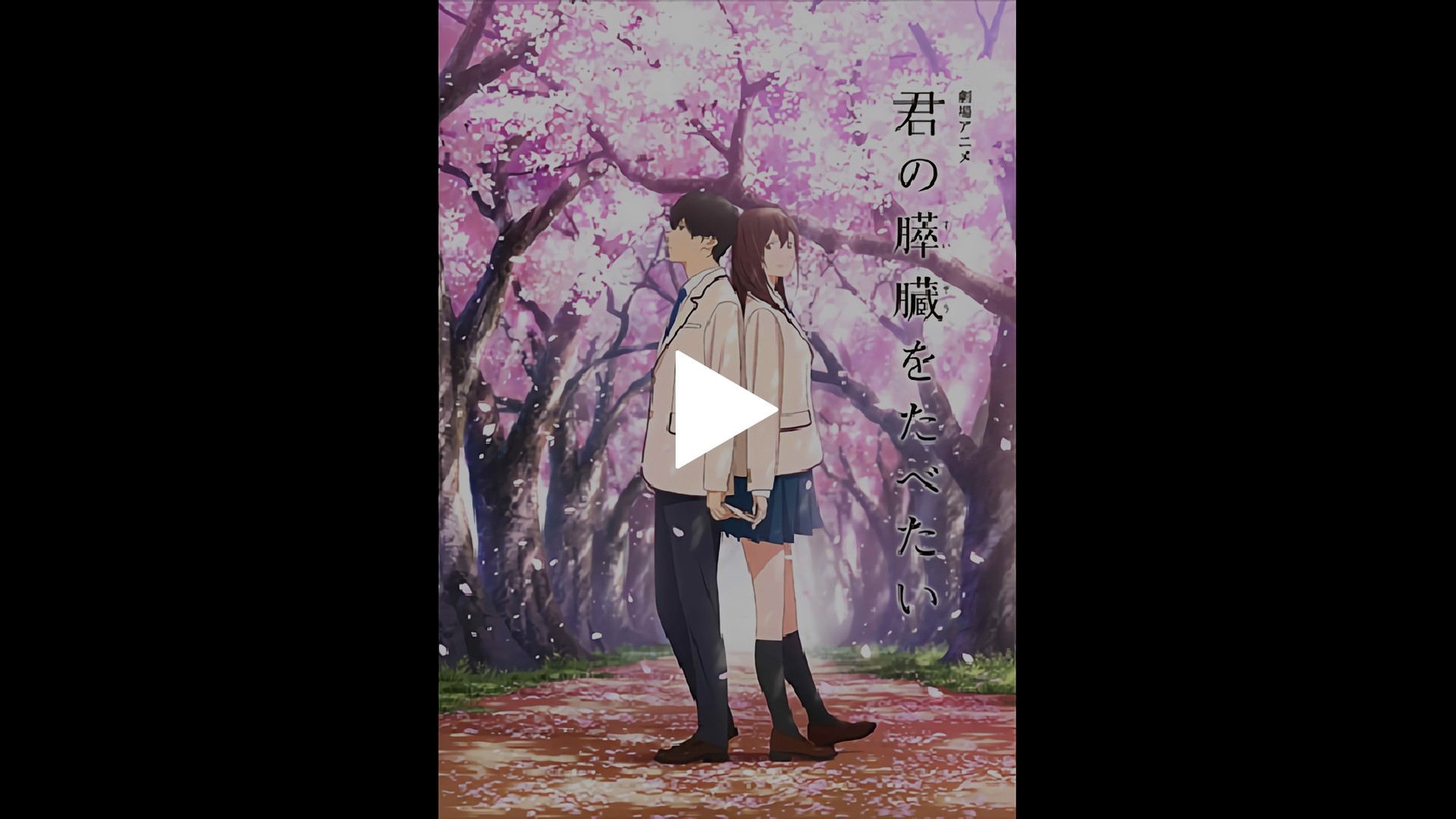 劇場アニメ「君の膵臓をたべたい」｜フジテレビの人気ドラマ