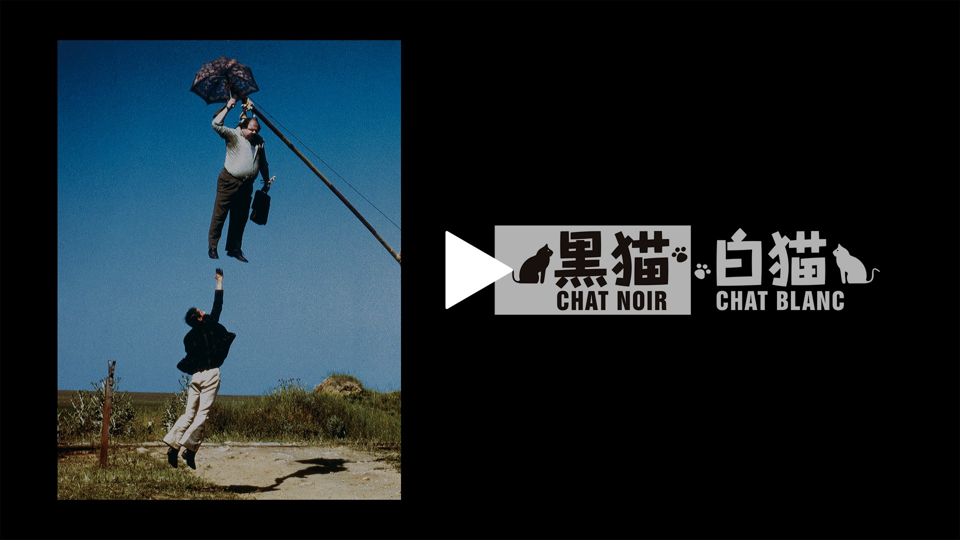 字幕版）黒猫・白猫｜フジテレビの人気ドラマ・アニメ・TV番組の動画が