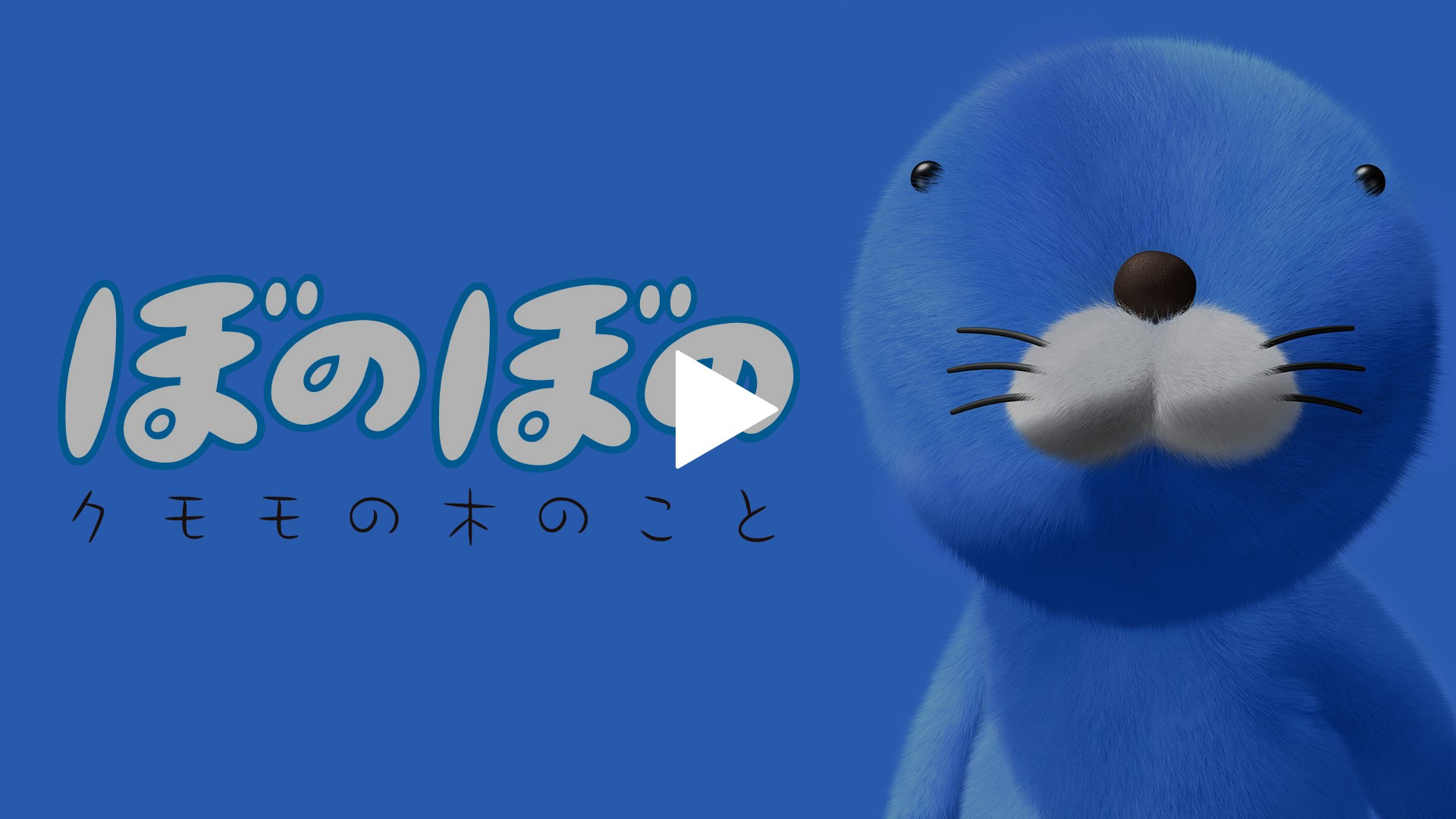 ぼのぼの クモモの木のこと｜フジテレビの人気ドラマ・アニメ・TV番組