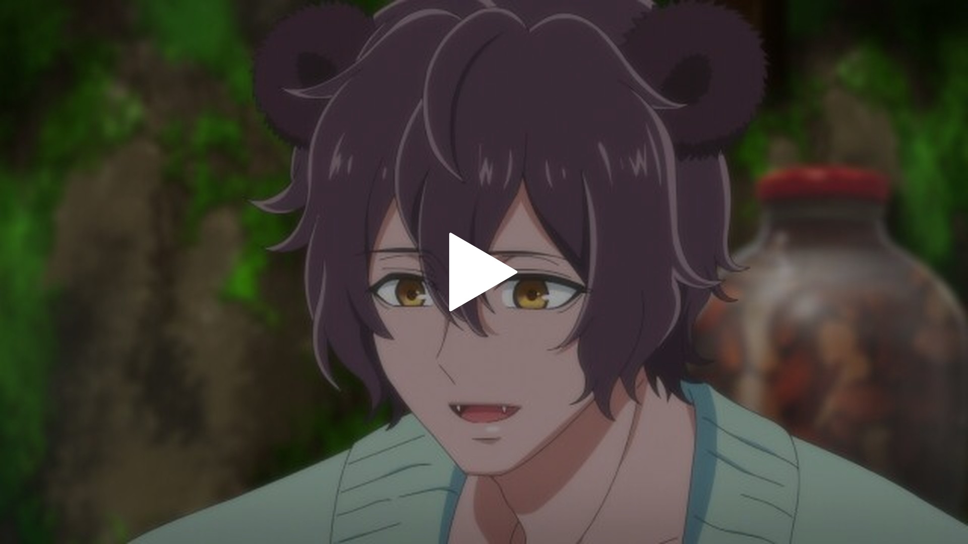 1 クマさんの冬ごもり｜フジテレビの人気ドラマ・アニメ・TV番組の動画