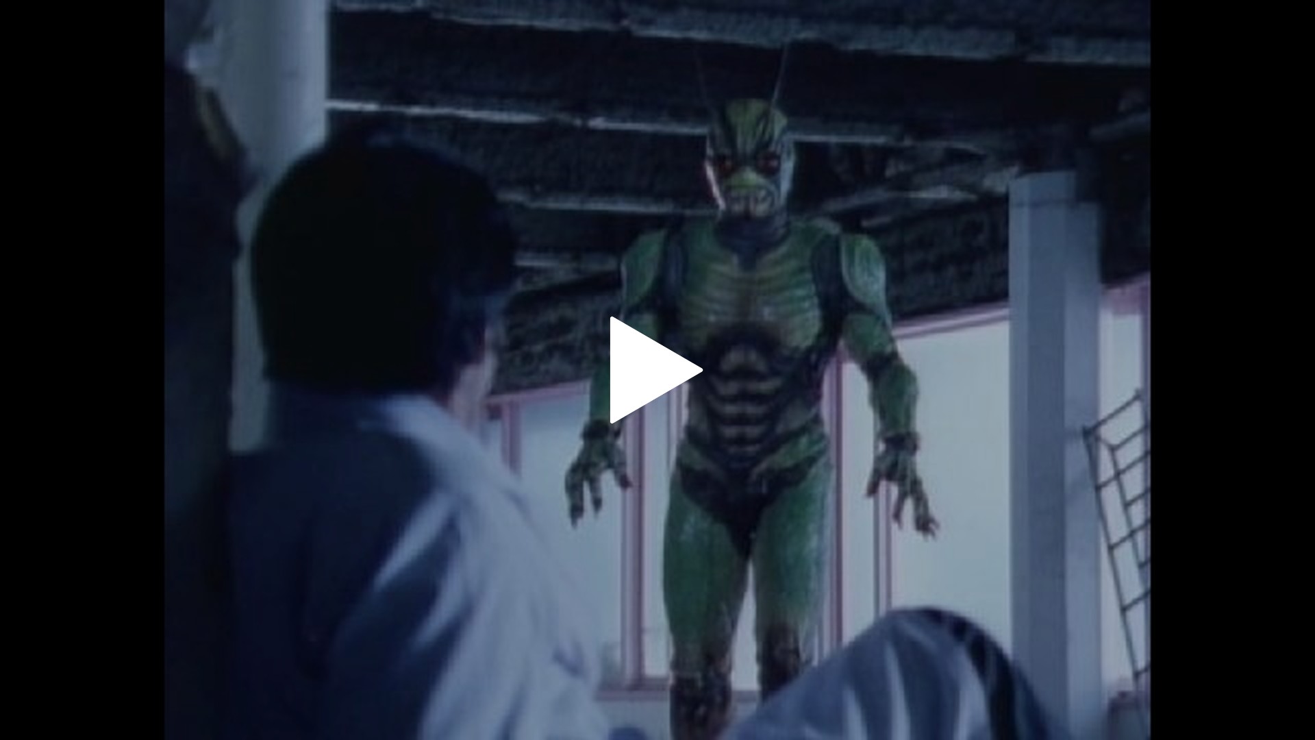 真・仮面ライダー 序章 VHS 仮面ライダーオフィシャルパーフェクト