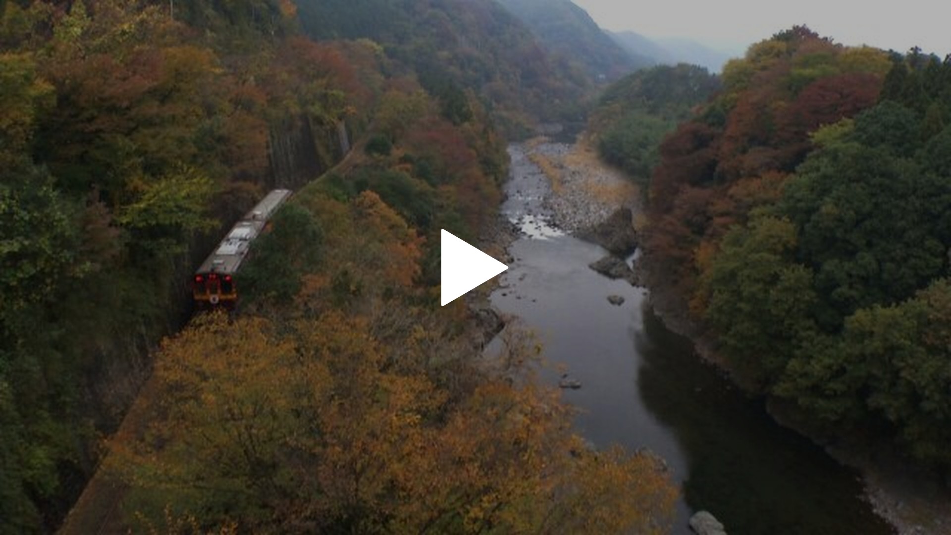 わたらせ渓谷鐵道トロッコわっしー号運転席展望｜フジテレビの