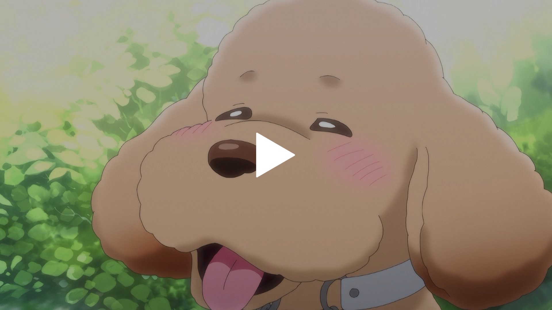 第1話 共倒れなボクら｜フジテレビの人気ドラマ・アニメ・TV番組の動画