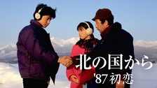 北の国から LDセット 83冬 84夏 87初恋 95秘密 上巻下巻