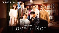 その他 Love or Not Blu-ray-BOX n5ksbvb Love or Not Blu-ray-BOX n5ksbvb