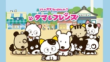タマ＆フレンズ～うちのタマ知りませんか？～｜フジテレビの人気