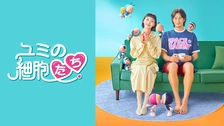 ユミの細胞たち　韓国ドラマ WEB TOON BOOM5 フィギュア Amazon | ユミの細胞たち 韓国ドラマ WEB TOON BOOM5 フィギュア