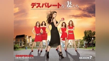 デスパレートな妻たち　season1〜8 Amazon.co.jp: デスパレートな妻たち シーズン1～8完結