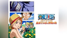 ONE PIECE エピソード・オブ・ナミ～航海士の涙と仲間の絆～ DVD