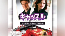 キャッスル/ミステリー作家のNY事件簿 シーズン1〜ファイナル　レンタル落ち キャッスル／ミステリー作家のNY事件簿 シーズン1｜ブルーレイ
