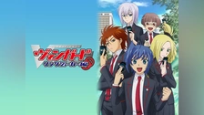 カードファイト‼︎ヴァンガード◇「櫂三和本」11冊◇イメージ部／恋ゆり子 カードファイト！！ヴァンガードG | 2010年代 | TMS作品一覧