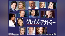 再値下げ　グレイズアナトミー16 グレイズ・アナトミー シーズン16 DVD コレクターズ BOX Part2