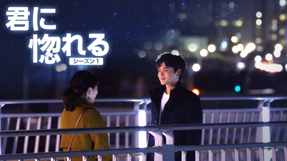 韓国ドラマ『君に惚れる シーズン1』の日本語字幕版の動画を全話無料で見れる配信アプリまとめ