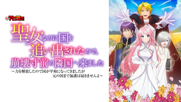 WILD ADAPTER｜フジテレビの人気ドラマ・アニメ・TV番組の動画が見放題