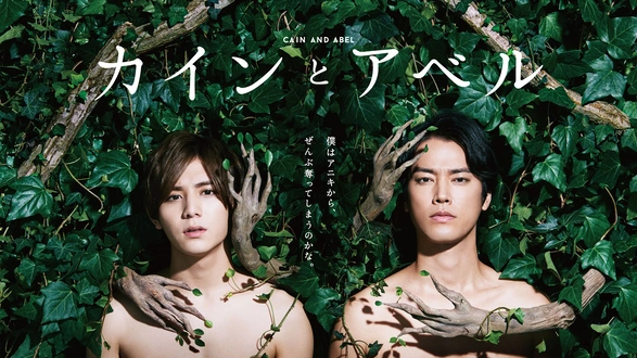 DOCUMENTARY of AKB48 NO FLOWER WITHOUT RAIN 少女たちは涙の