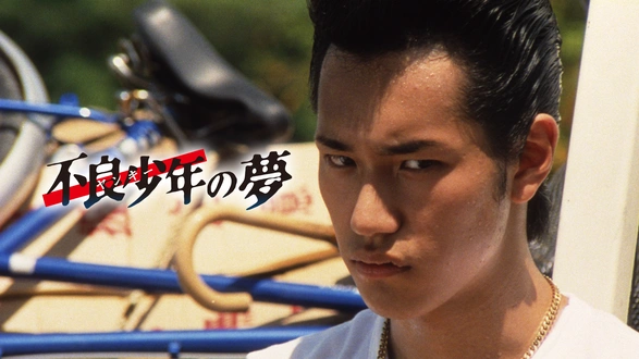 実録・瀬戸内やくざ戦争 伊予路水滸伝｜フジテレビの人気ドラマ