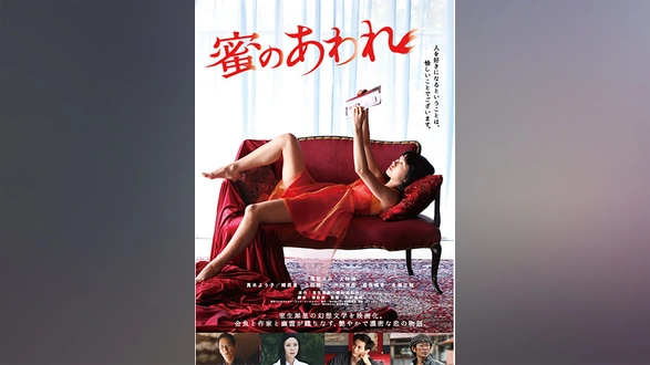 江戸川乱歩の美女シリーズ 赤い乗馬服の美女 江戸川乱歩の「何者