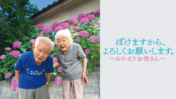 DOCUMENTARY of AKB48 NO FLOWER WITHOUT RAIN 少女たちは涙の