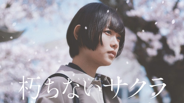家族のうた｜フジテレビの人気ドラマ・アニメ・TV番組の動画が見放題