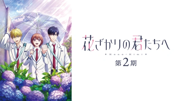 DOCUMENTARY of AKB48 NO FLOWER WITHOUT RAIN 少女たちは涙の後に何を