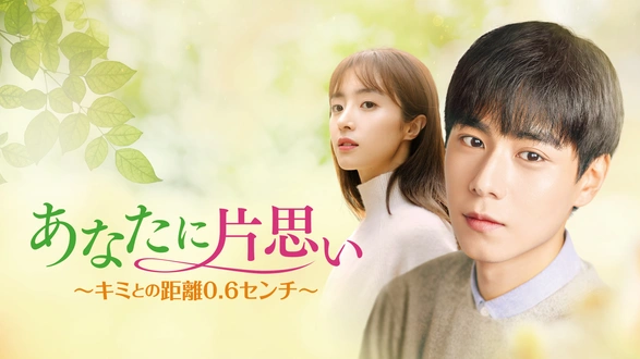 マイ・サンシャイン～何以笙簫默～｜フジテレビの人気ドラマ・アニメ